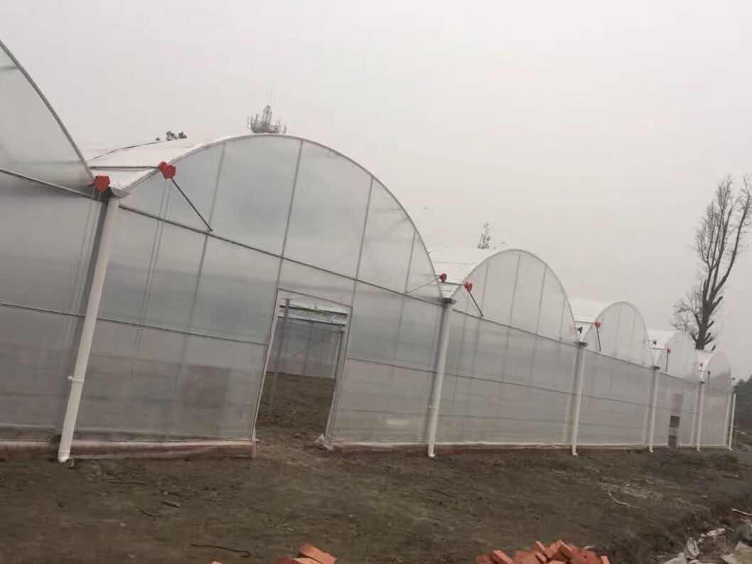 成都連棟溫室大棚解決方案